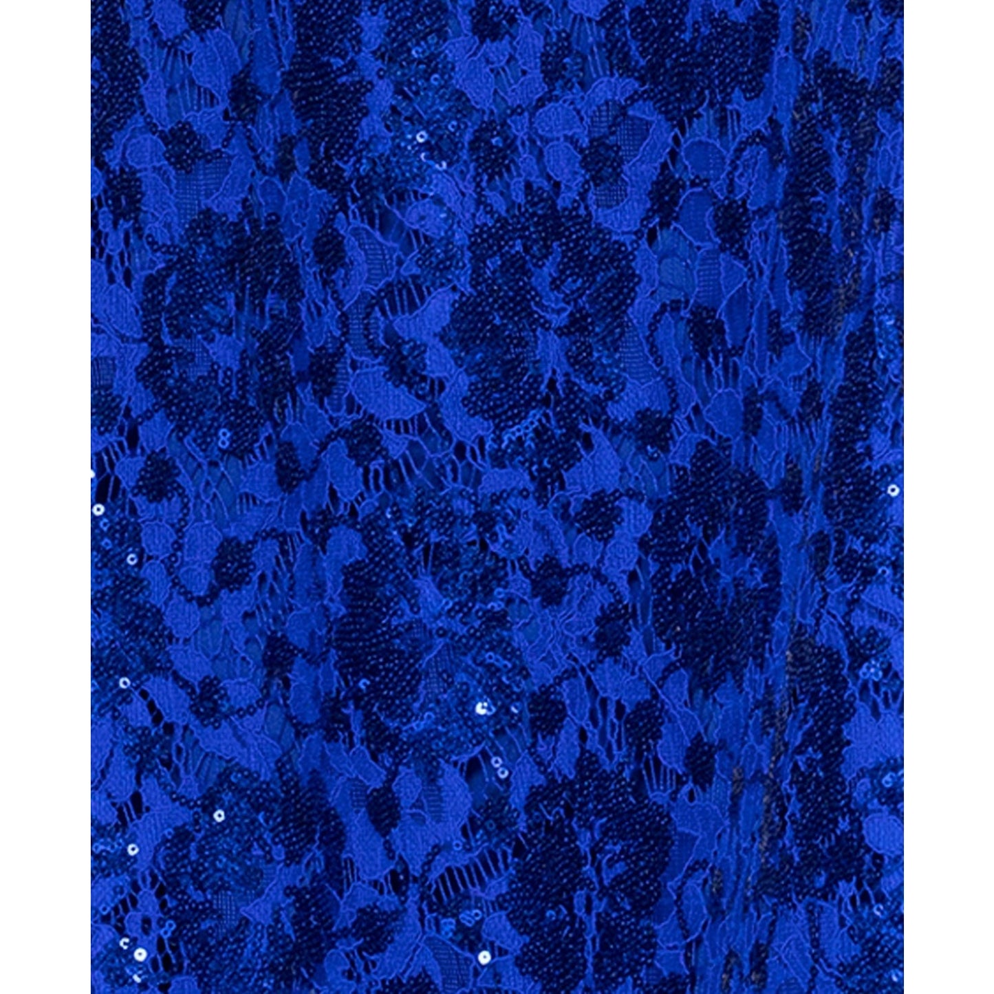 Betsy & Adam Women's Sequin Lace Sleeveless Gown - Royal, Size 18 , MSRP: 199$